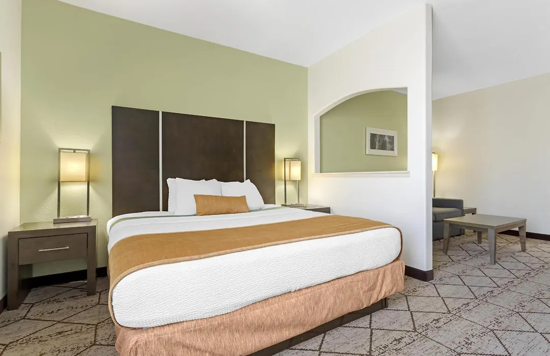 Best Western Plus North Houston Inn & Suites-1