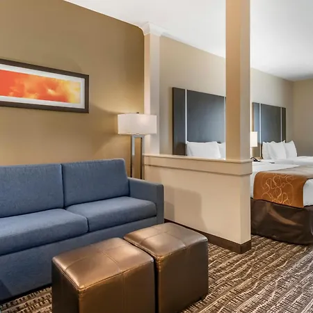 Comfort Suites Near Sam Houston Race Park-3